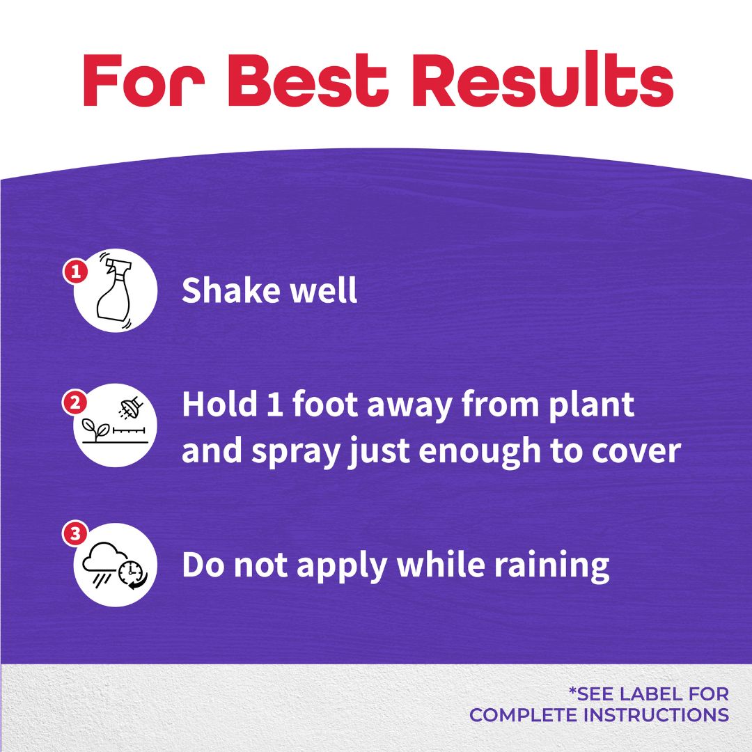Eight Insect Control for Garden & Home – Bonide – 32 oz